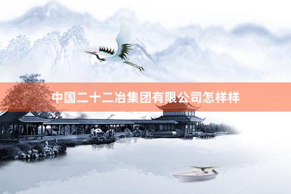 中国二十二冶集团有限公司怎样样